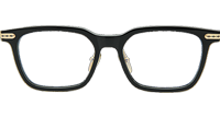 Spur Em Eyeglasses Black Gold