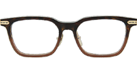 Spur Em Eyeglasses Tortoise Brown Gold