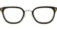 Strapadictome Eyeglasses Tortoise Silver