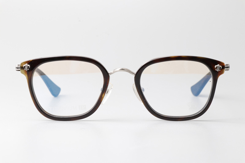 Strapadictome Eyeglasses Tortoise Silver