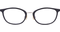 TA1381 Eyeglasses C3 Black Gold