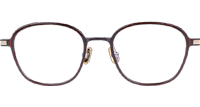 TA1536 Eyeglasses C1 Brown Gold