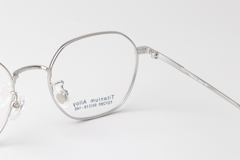 TC7285 Eyeglasses Silver