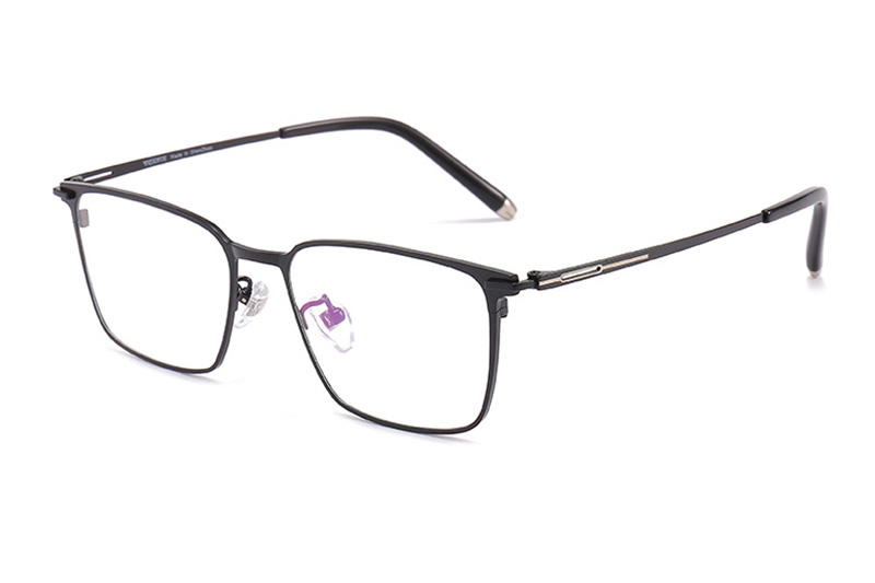 TC8100 Eyeglasses Black