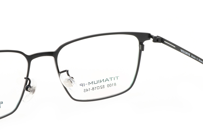 TC8100 Eyeglasses Black Silver