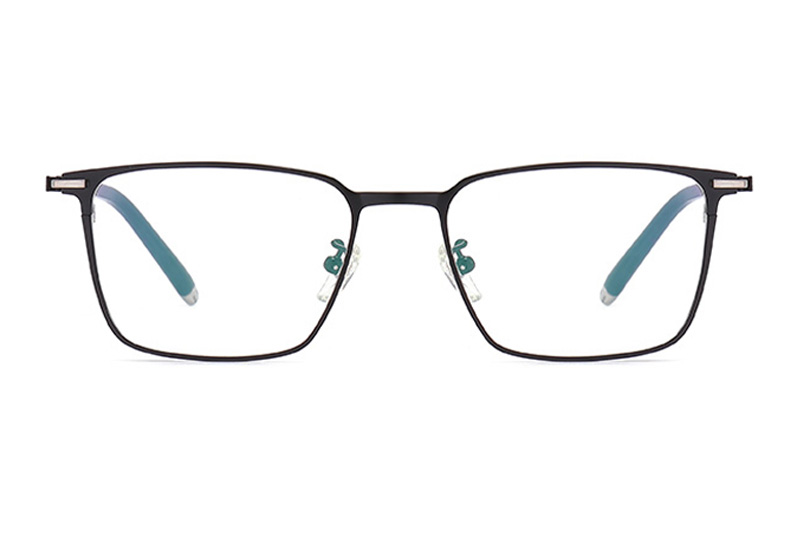 TC8100 Eyeglasses Black Silver