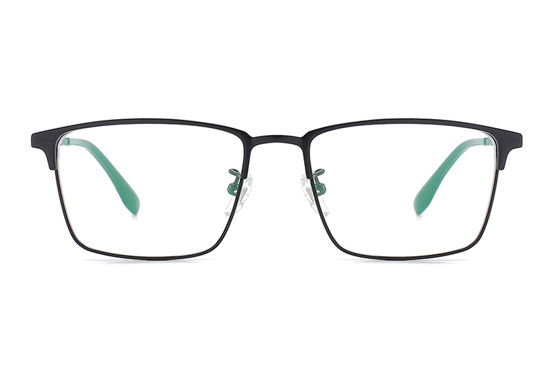 TC8113 Eyeglasses Black