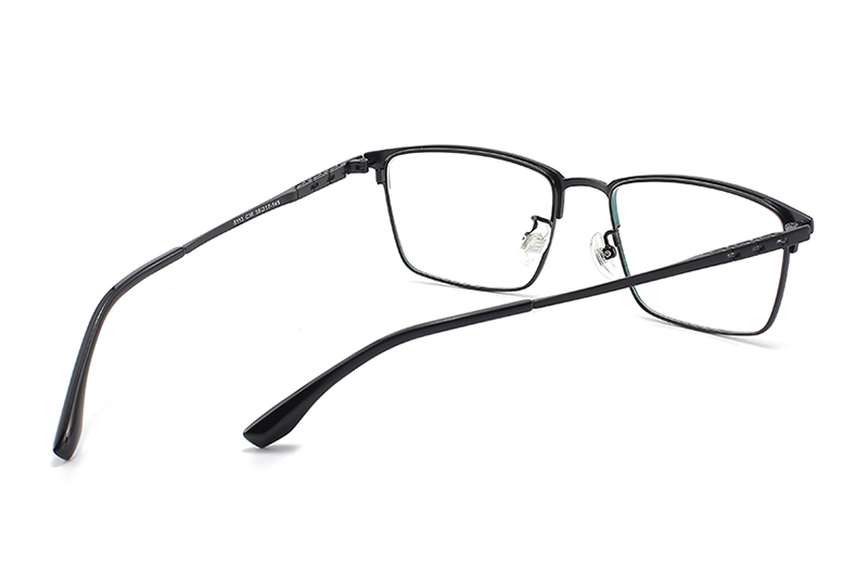 TC8113 Eyeglasses Black