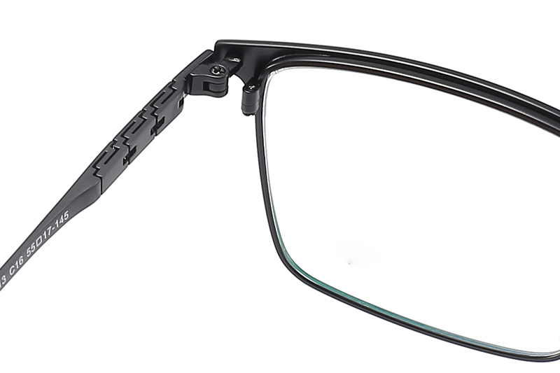 TC8113 Eyeglasses Black