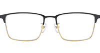 TC8113 Eyeglasses Black Gold