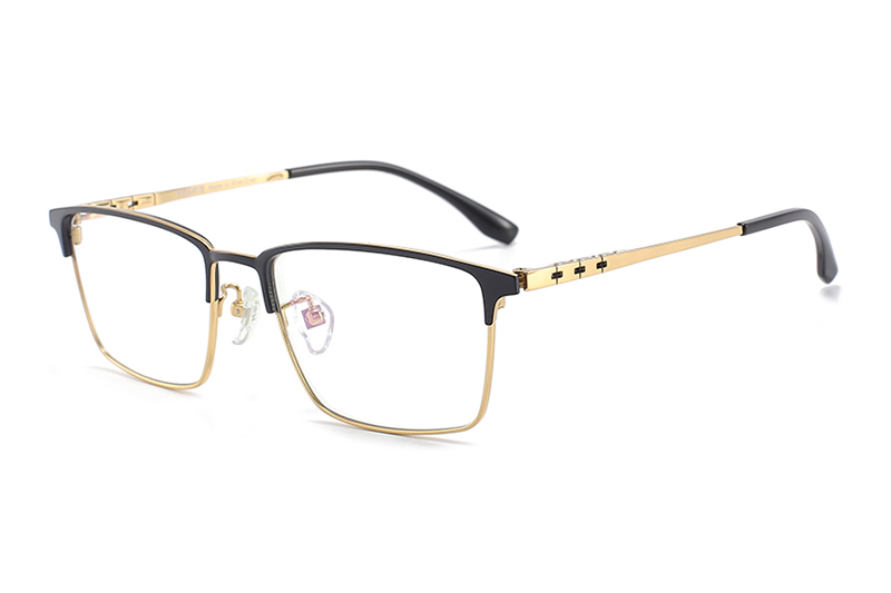 TC8113 Eyeglasses Black Gold
