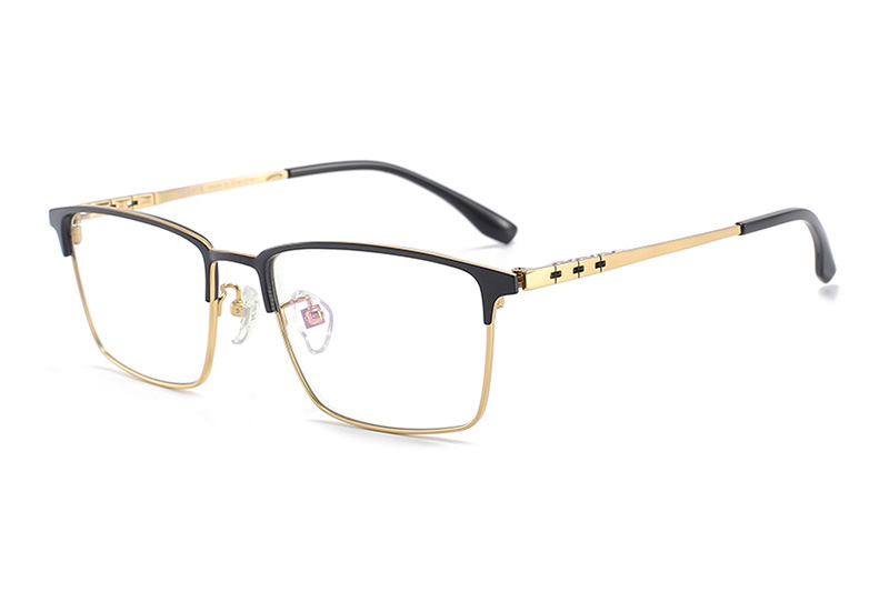 TC8113 Eyeglasses Black Gold