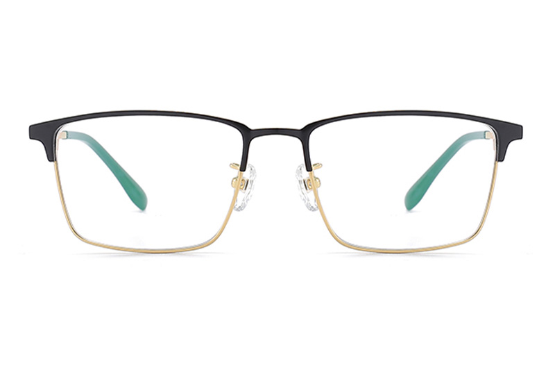 TC8113 Eyeglasses Black Gold