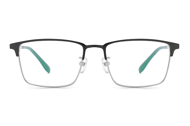 TC8113 Eyeglasses Black Silver