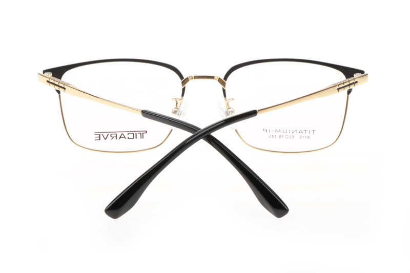 TC8115 Eyeglasses Black Gold