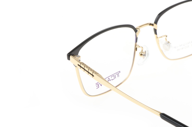 TC8115 Eyeglasses Black Gold