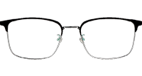 TC8115 Eyeglasses Black Silver