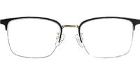 TC8116 Eyeglasses Black Gold