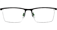 TC8117 Eyeglasses Black