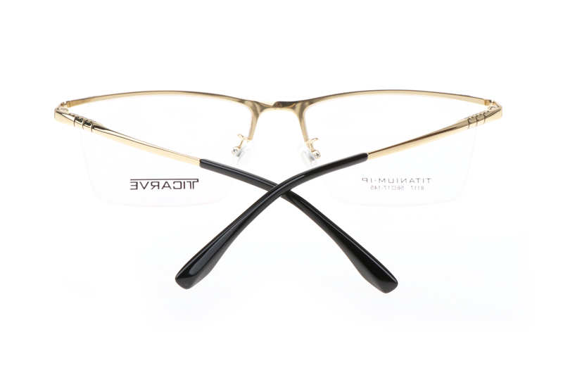 TC8117 Eyeglasses Gold