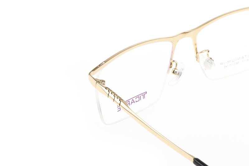 TC8117 Eyeglasses Gold