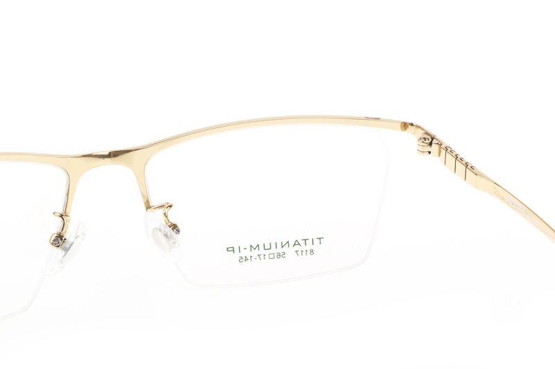 TC8117 Eyeglasses Gold