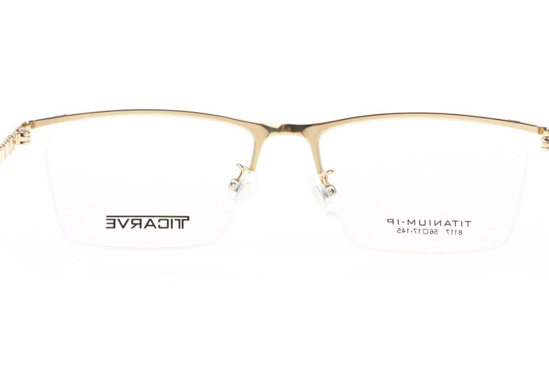 TC8117 Eyeglasses Gold