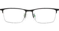 TC8120 Eyeglasses Black