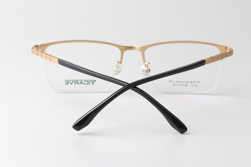 TC8121 Eyeglasses Gold