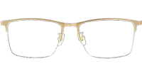 TC8121 Eyeglasses Gold