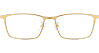 TC8122 Eyeglasses Gold