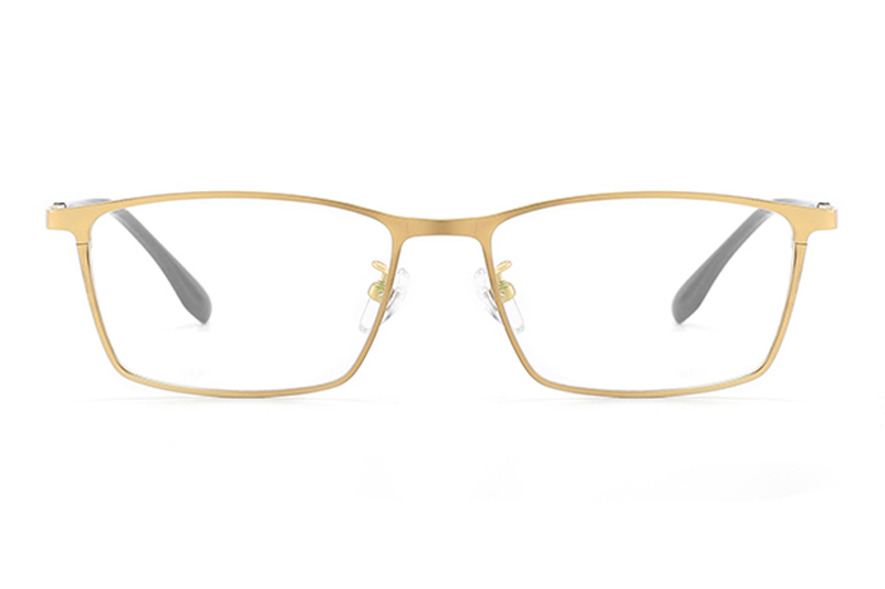 TC8122 Eyeglasses Gold