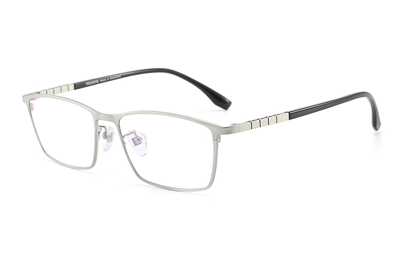TC8122 Eyeglasses Silver