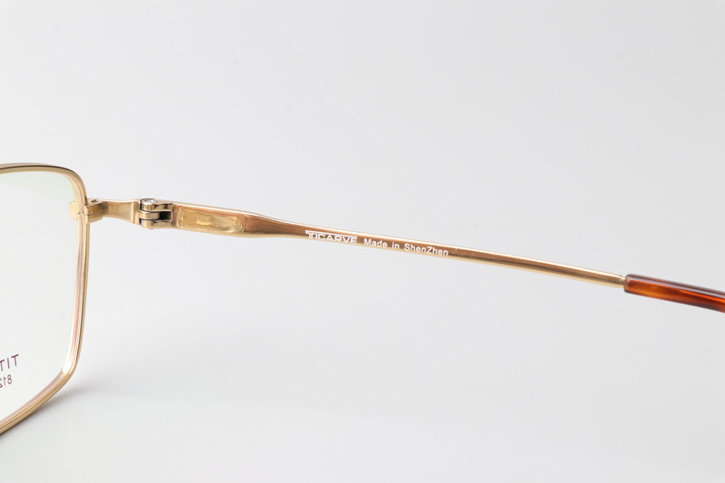 TC8123 Eyeglasses Gold