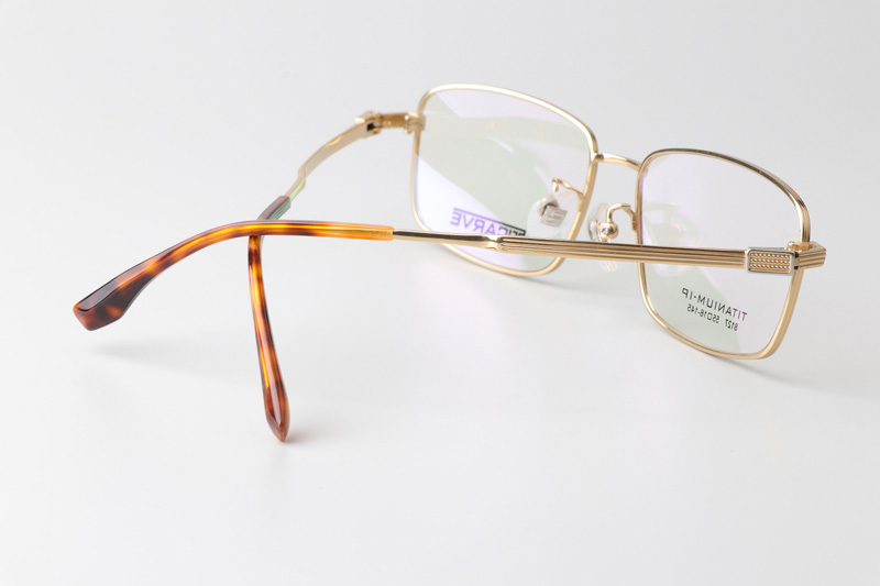 TC8127 Eyeglasses Gold