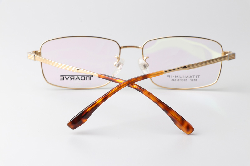 TC8127 Eyeglasses Gold