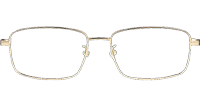 TC8127 Eyeglasses Gold