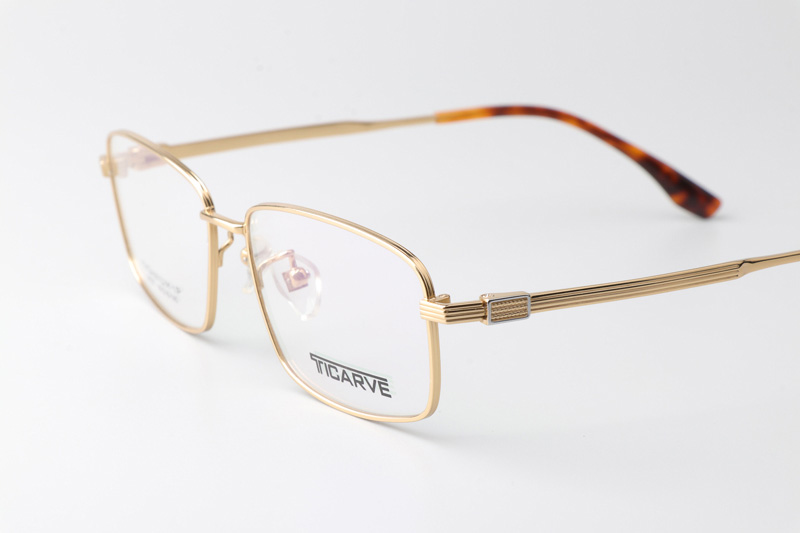 TC8127 Eyeglasses Gold