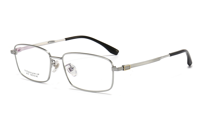 TC8127 Eyeglasses Silver