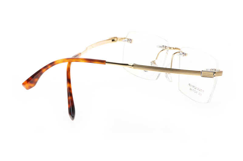 TC8128 Eyeglasses Gold