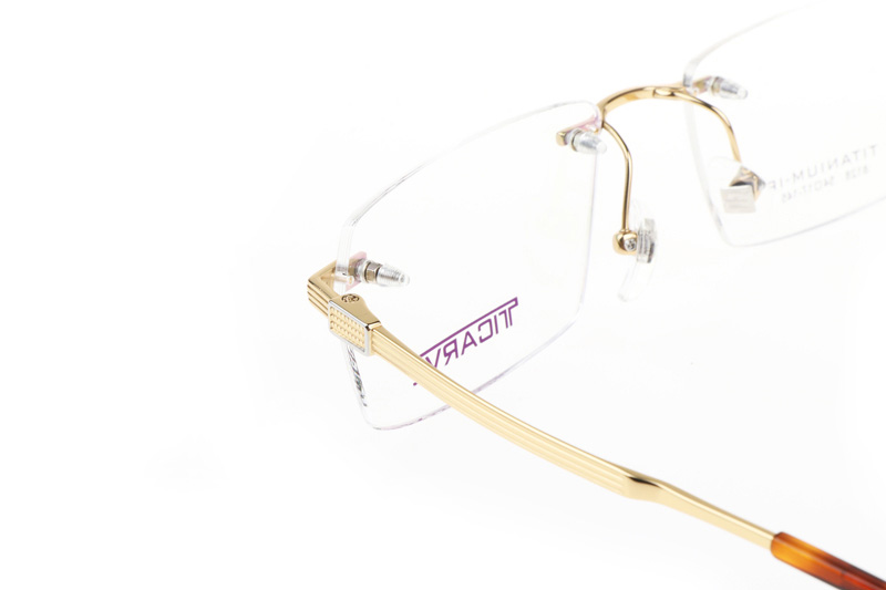 TC8128 Eyeglasses Gold