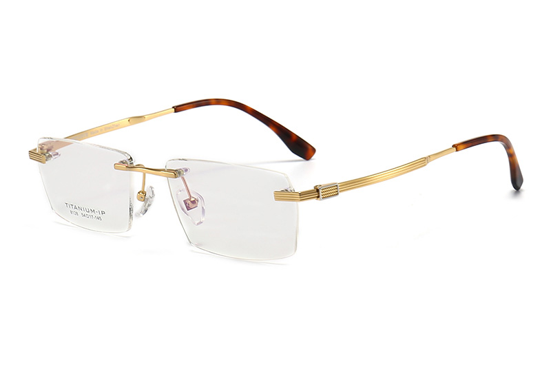 TC8128 Eyeglasses Gold