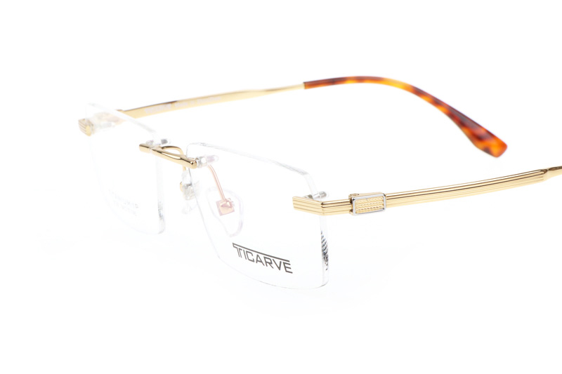 TC8128 Eyeglasses Gold