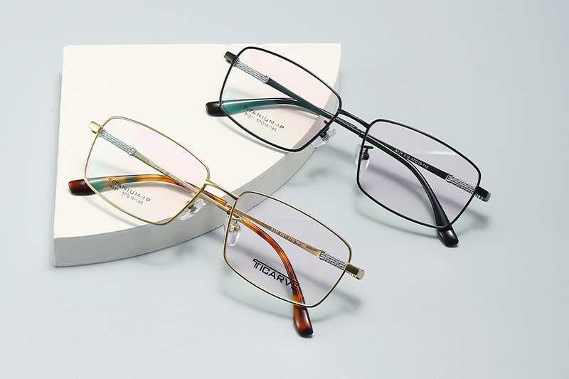 TC8131 Eyeglasses Black