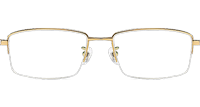 TC8132 Eyeglasses Gold