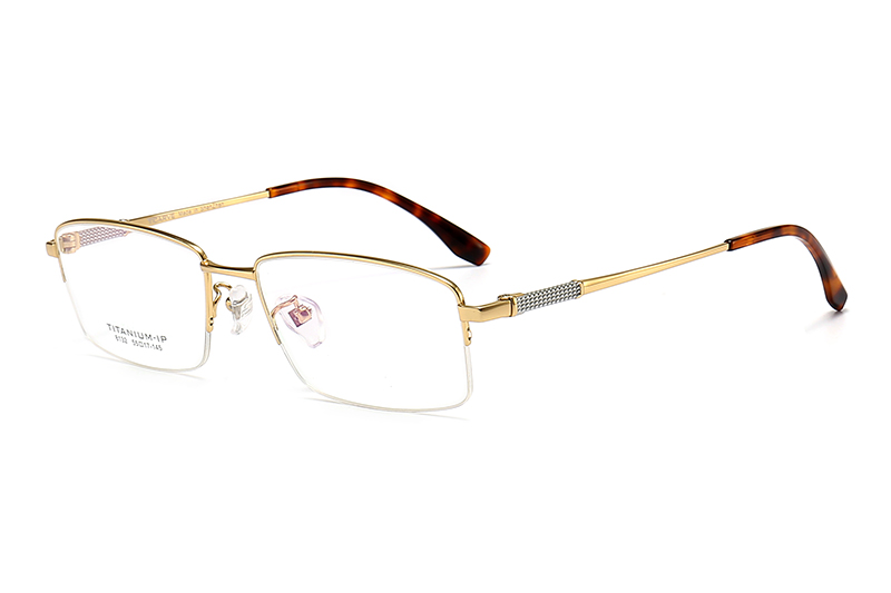 TC8132 Eyeglasses Gold