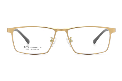 TC8169 Eyeglasses Gold