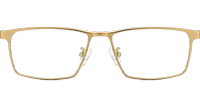 TC8169 Eyeglasses Gold