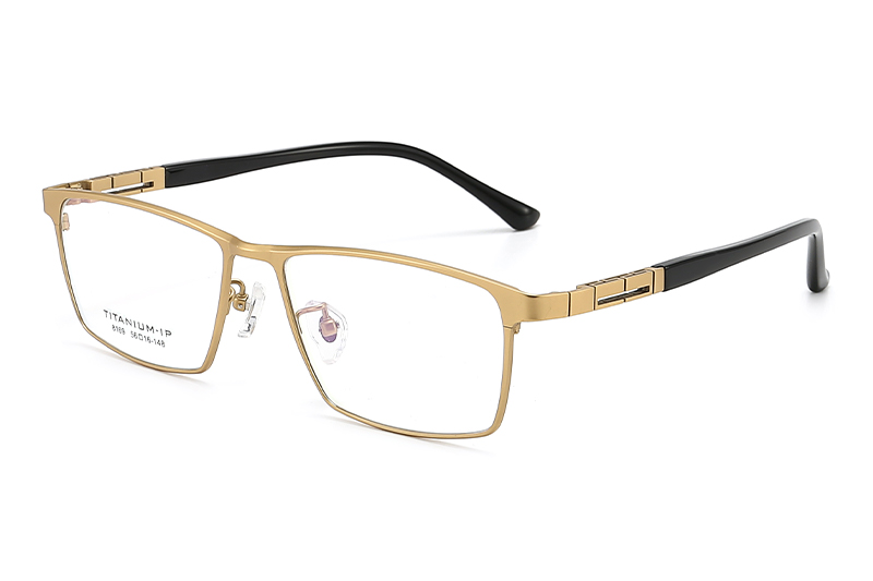 TC8169 Eyeglasses Gold