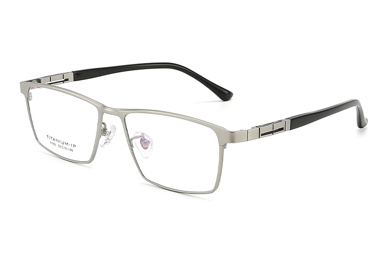 TC8169 Eyeglasses Silver